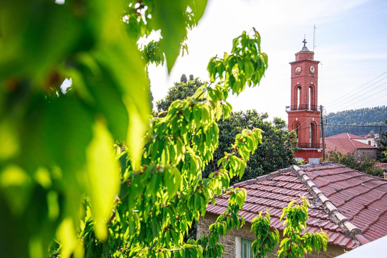 Villa Stefania's Ano Volos